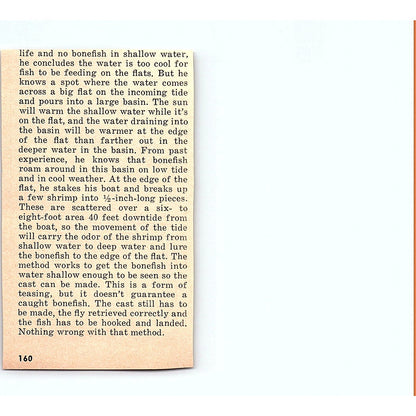 Old Town Canoe Company Fiberglass Canoe Old Town ME 1977 Ad AF6-5