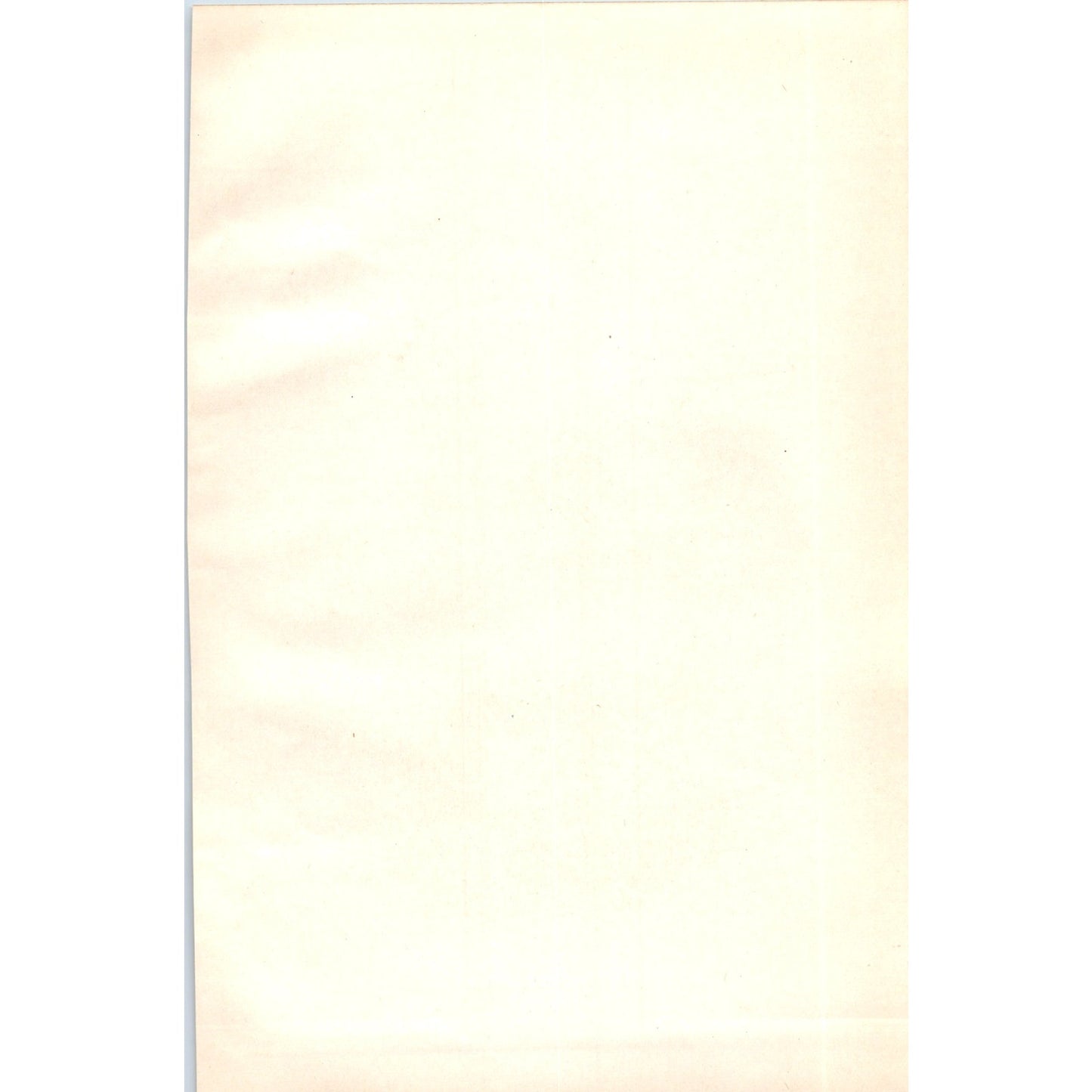 Richardson's Skua Bird 1903 Original Color Engraving Plate Print AD8-B5