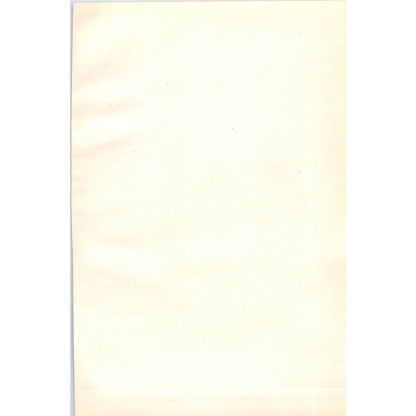 Richardson's Skua Bird 1903 Original Color Engraving Plate Print AD8-B5