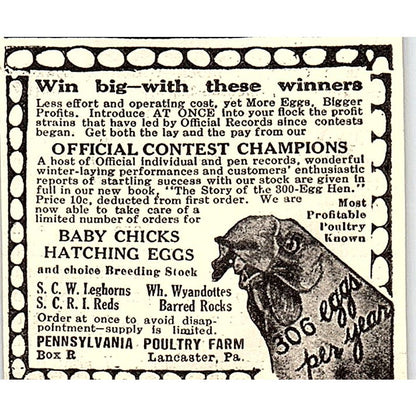 Pennsylvania Poultry Farm Baby Chicks Lancaster PA 1924 Ad AG3-S18