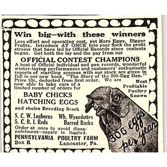 Pennsylvania Poultry Farm Baby Chicks Lancaster PA 1924 Ad AG3-S18