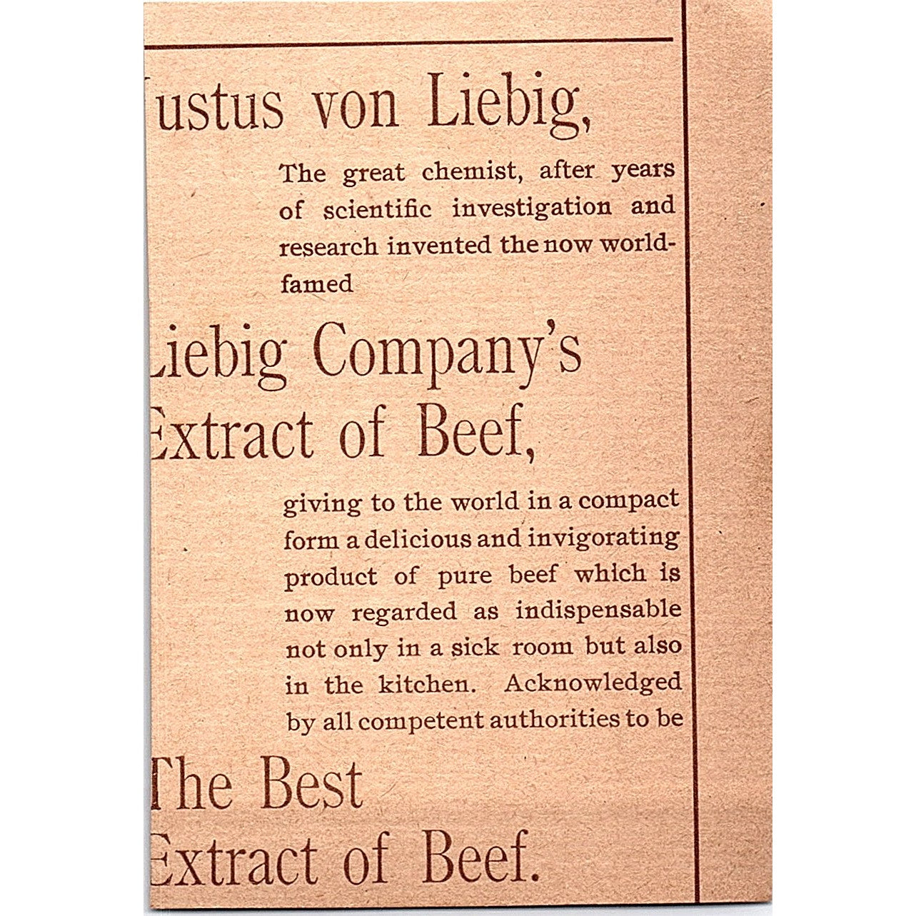 Bell-Cap-Sic Plasters for Kidney Pains J.M. Grosvenor Boston 1892 Ad AG2-M10