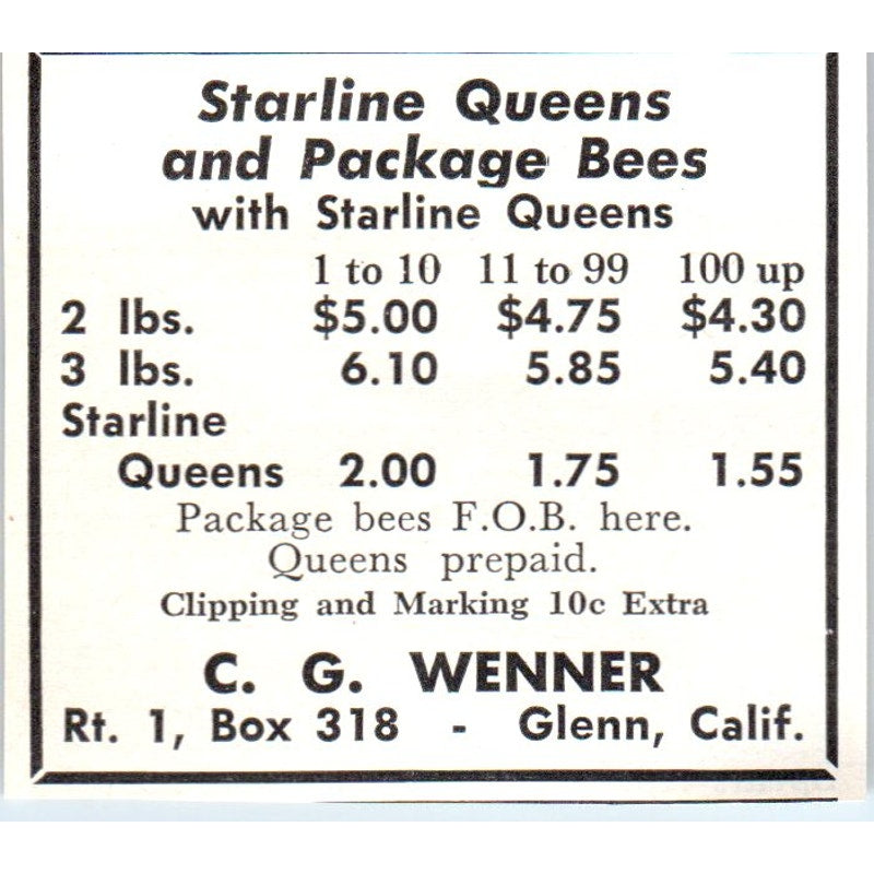 Starline Queens C.G. Wenner Glenn California 1961 Magazine Ad AK6-S12