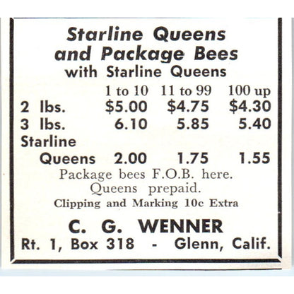 Starline Queens C.G. Wenner Glenn California 1961 Magazine Ad AK6-S12