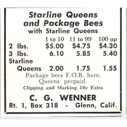 Starline Queens C.G. Wenner Glenn California 1961 Magazine Ad AK6-S12