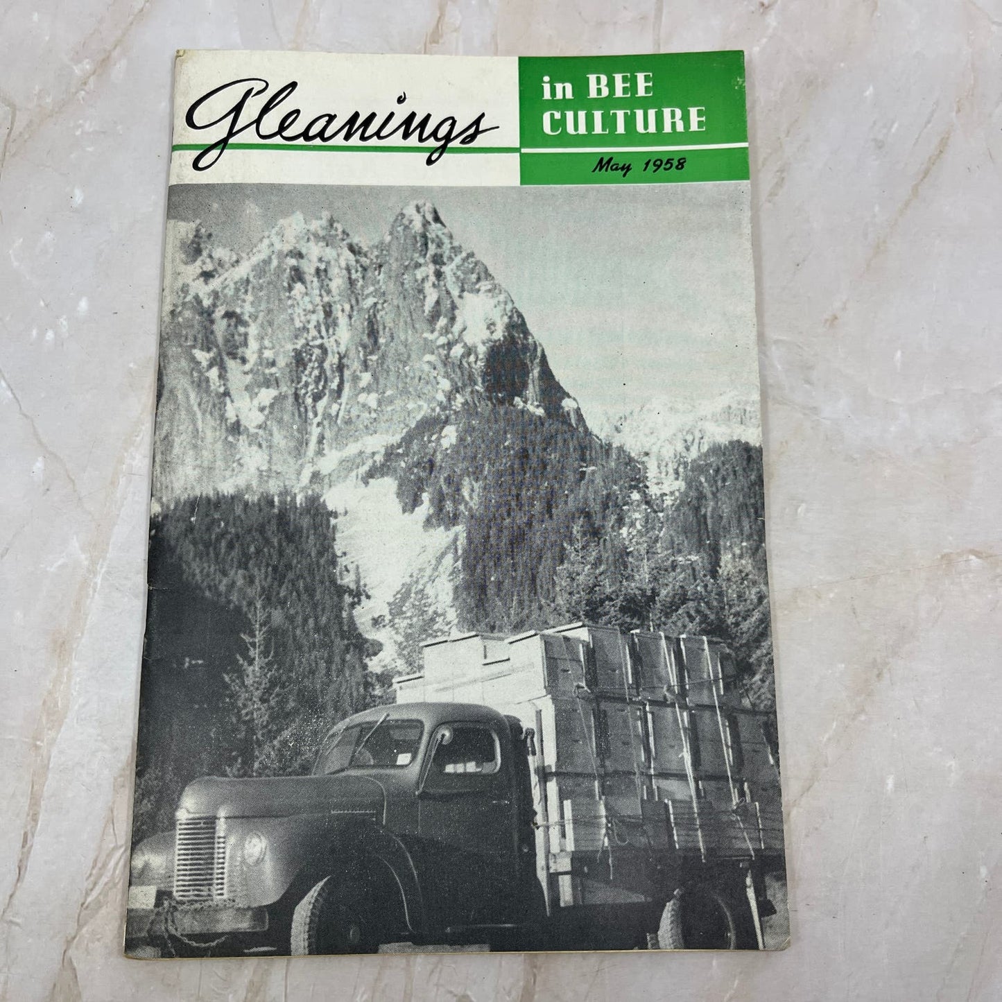 1958 May Gleanings in Bee Culture Beekeeping Magazine A.I. Root Co Medina OH TD5