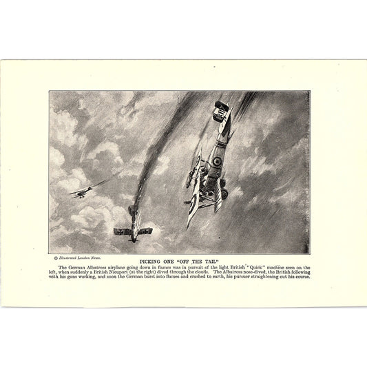 German Albatross Airplane, British Bombing Machine 1919 WWI Print AF9-18