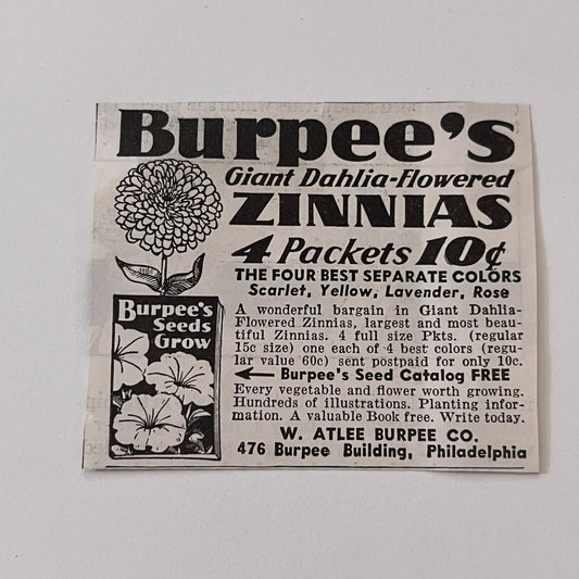 W. Atlee Burpee Co. Burpee's Giant Zinnias Philadelphia PA 1936 Ad SAG4-M4