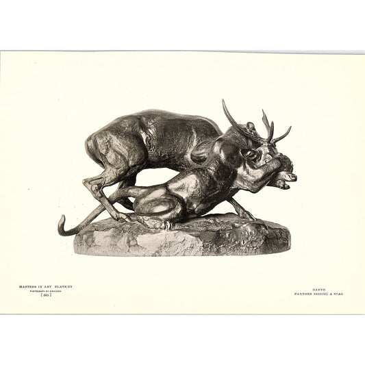 Panther Seizing a Stag - Barye - 1904 Litho Art Print AF4-6