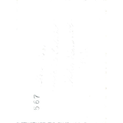 1920s Original Photo Black Bear Exhibit Willey House Crawford Notch NH 3x4" AE6