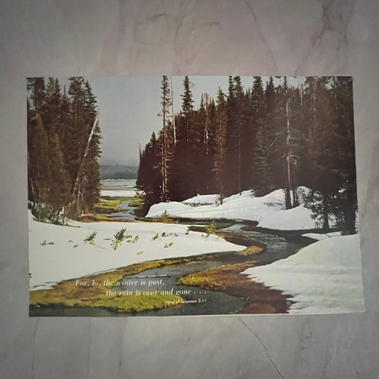 Song of Solomon 2:11 Winter is Past Rain is Gone 7x10" Art Print V17