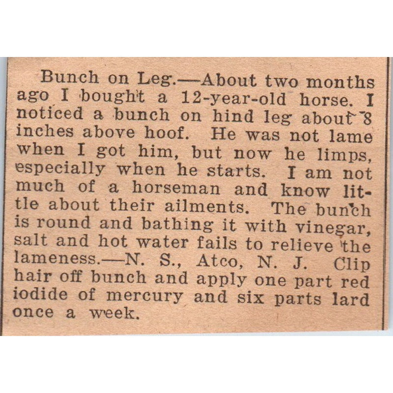 Horse With Bunch On Leg Article Atco NJ 1922 Magazine Ad AF2-S9