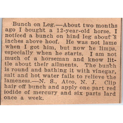 Horse With Bunch On Leg Article Atco NJ 1922 Magazine Ad AF2-S9