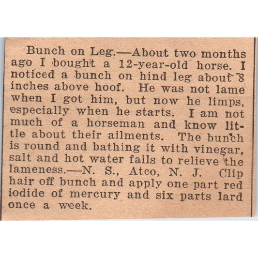 Horse With Bunch On Leg Article Atco NJ 1922 Magazine Ad AF2-S9