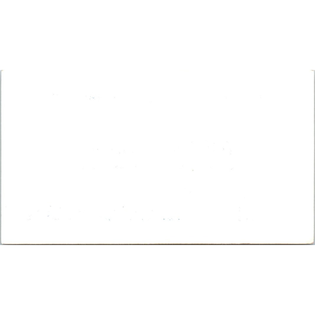 Mike's Restaurant Chinese Hawaiian Gardens CA Vintage Business Card SE3-B6