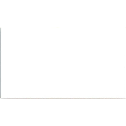 Dr. Wayne Lesher Chiropractor Houston TX Vintage Business Card SE3-B7