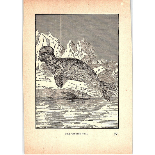The Crested Seal 1902 Engraving Plate AF4-H4