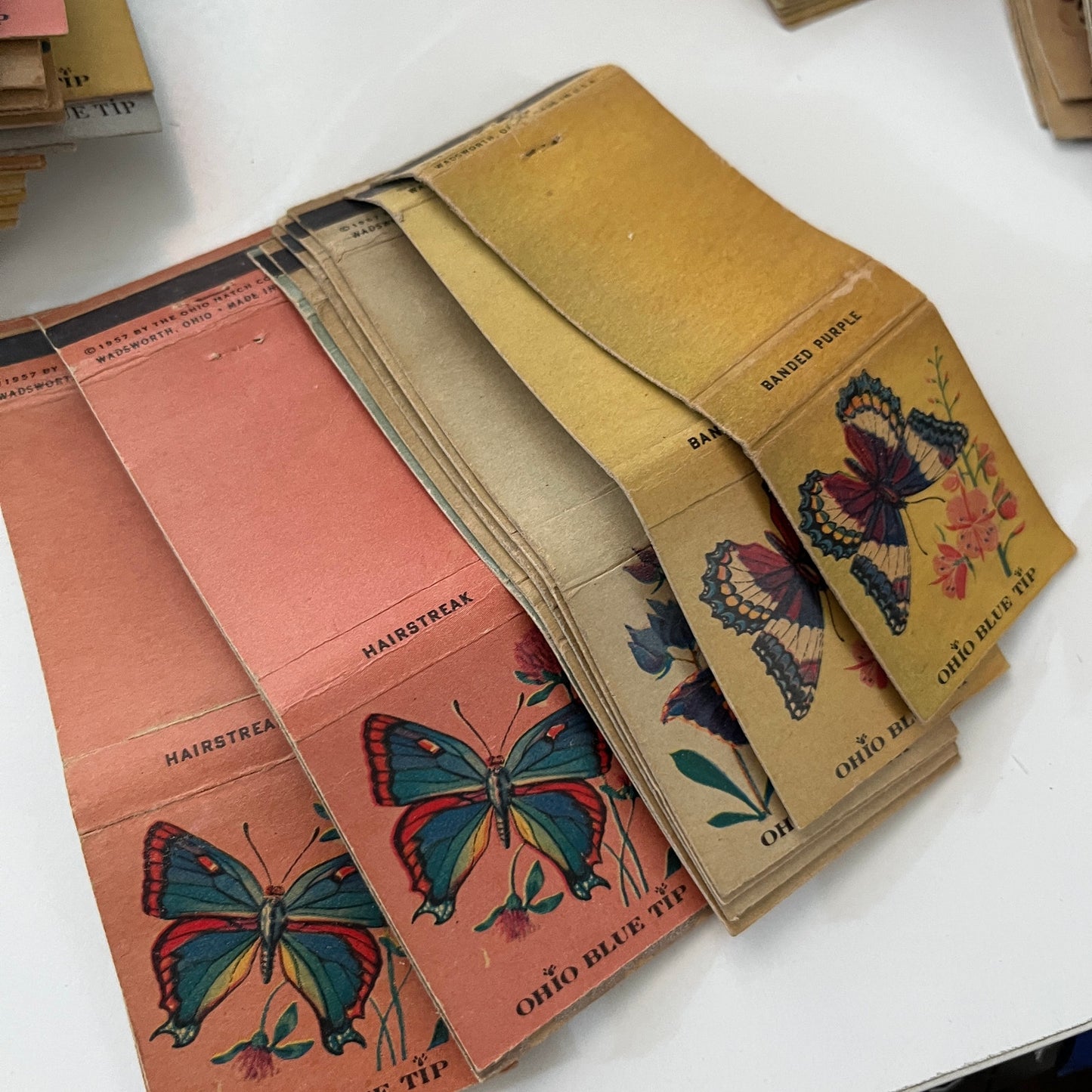 Huge Lot of Vintage Ohio Blue Tip Nature Matchbook Match Covers Bird Flower TF9