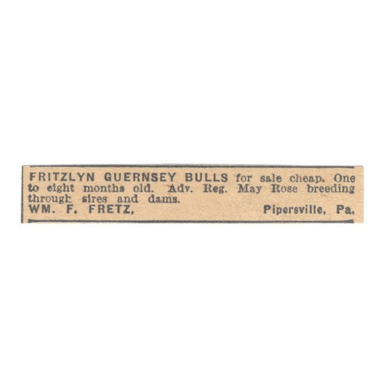 William F. Fretz Fritzlyn Guernsey Bulls Pipersville PA 1922 Magazine Ad AF2-T2