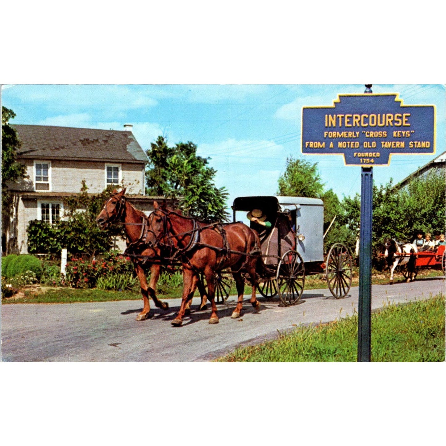 Amish Boys in Pony Cart Intercourse Pennsylvania Dutch Country Postcard PD8