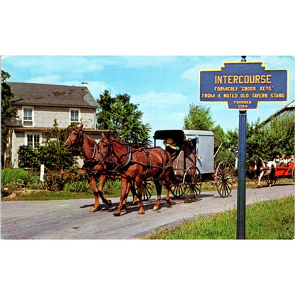 Amish Boys in Pony Cart Intercourse Pennsylvania Dutch Country Postcard PD8