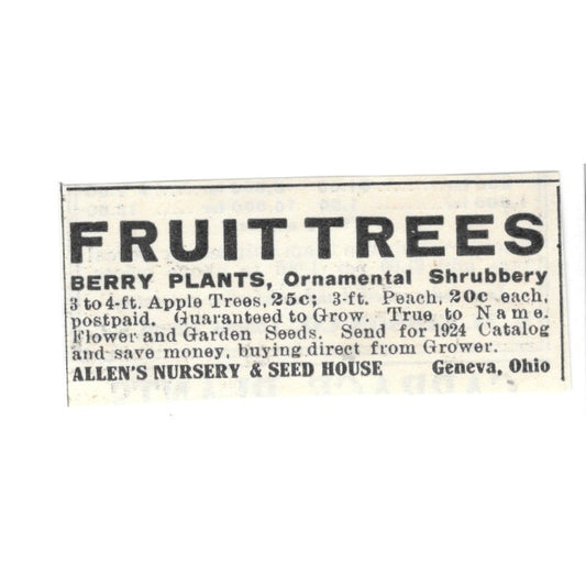 Allen's Nursery & Seed House Fruit Trees Geneva Ohio 1924 Ad AG3-S2