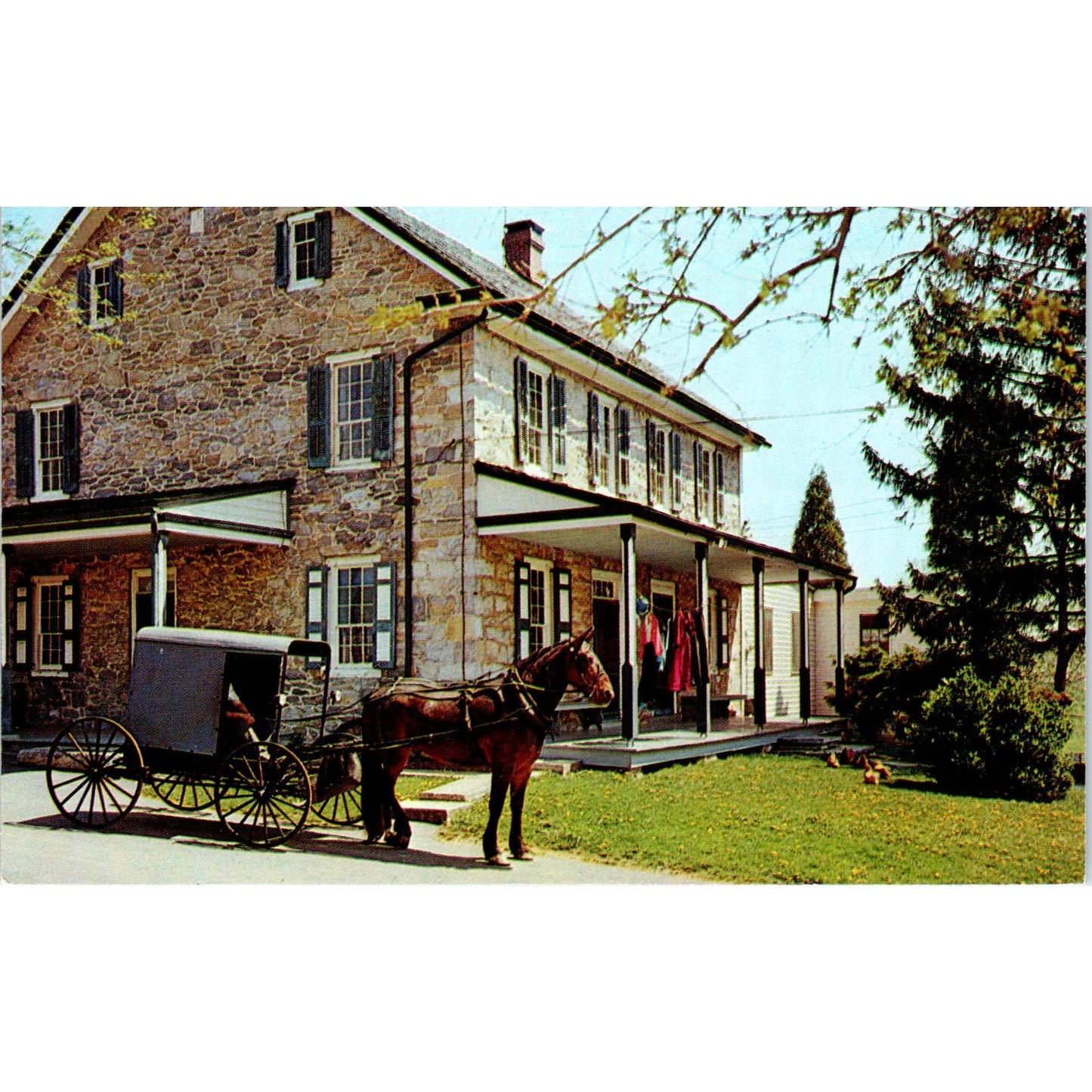 Amish Farm and House Lancaster Pennsylvania Dutch Country Postcard PD7