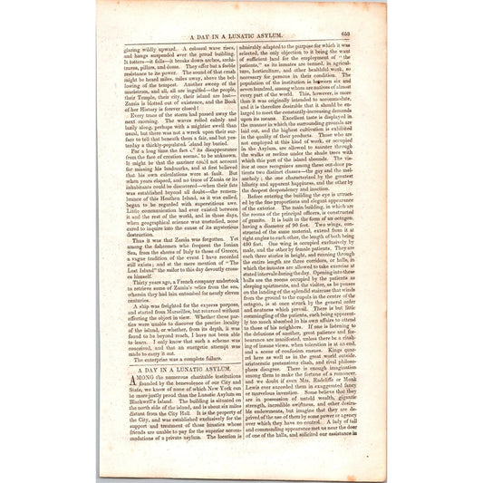 A Day in a Lunatic Asylum - 4 Pages 1854 Article I19