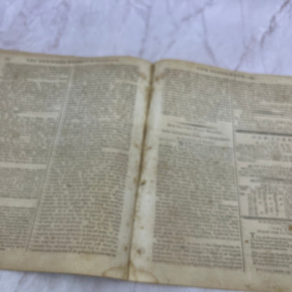 1795 Sep 23 - New York Weekly Magazine - History of Donna Elvira De Suarez D22