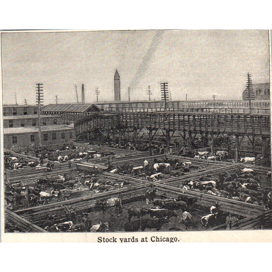 Stock Yards at Chicago 1901 Engraving AF2-O3