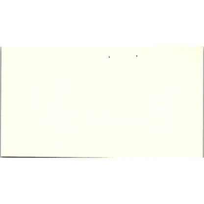 Consultec Bank Management Advisors Dianne Ellis Houston TX Business Card SF3-B4