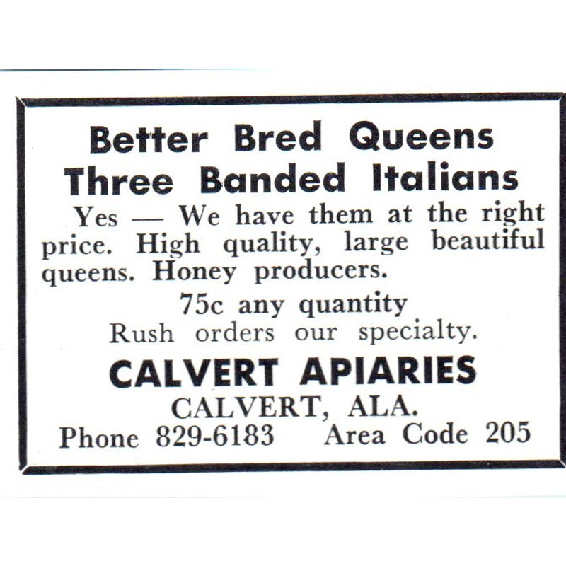 Calvert Apiaries Italian Bees Calvert AL 1964 Magazine Ad AB6-S14