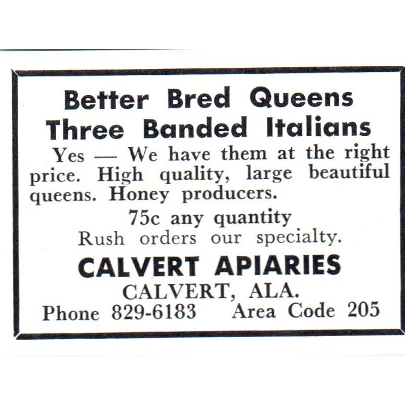 Calvert Apiaries Italian Bees Calvert AL 1964 Magazine Ad AK5-S36