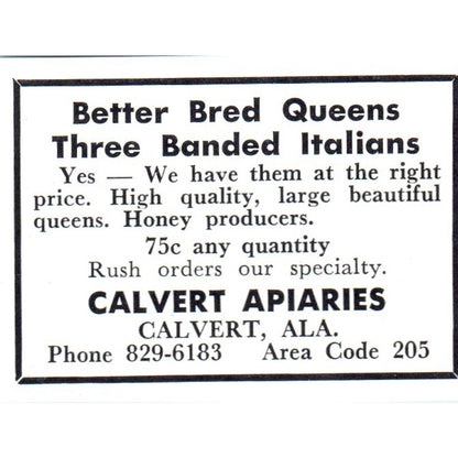Calvert Apiaries Italian Bees Calvert AL 1964 Magazine Ad AK5-S36