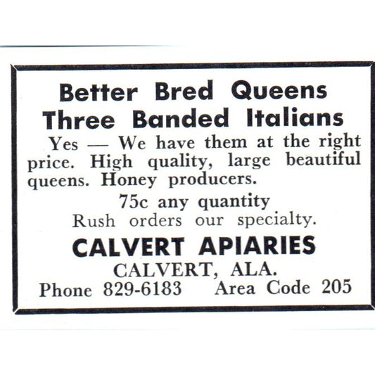 Calvert Apiaries Italian Bees Calvert AL 1964 Magazine Ad AK5-S36