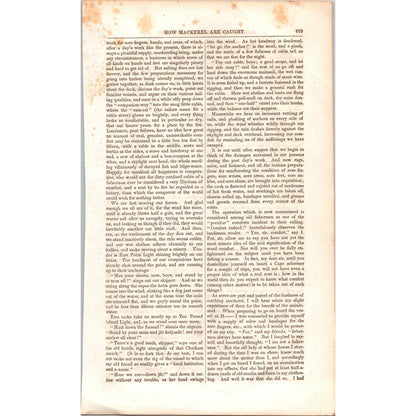 How Mackerel are Caught - Fishing - 4 Pages 1854 Article I19