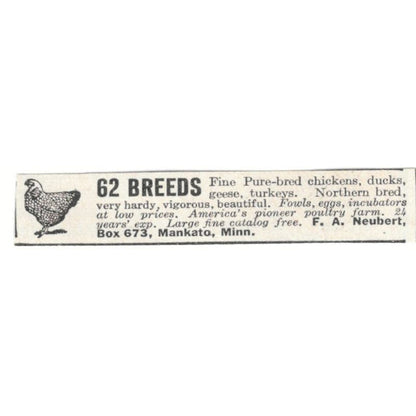 Purebred Chickens F.A. Neubert Mankato MN  1918 Magazine Ad AF1-SS3