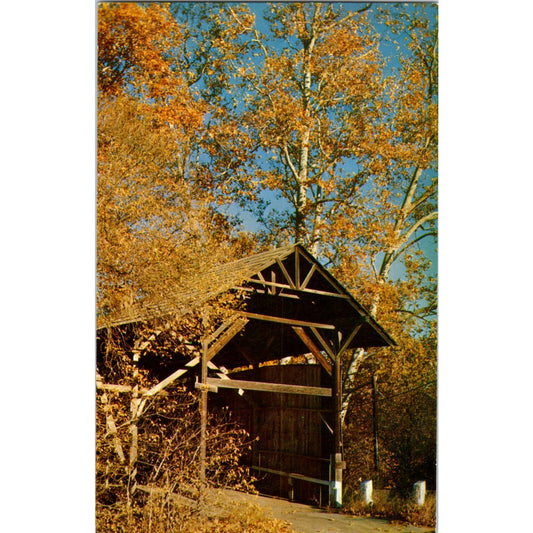 Old Covered Bridge Felton CA San Lorenzo River Covered Bridge Postcard PB11