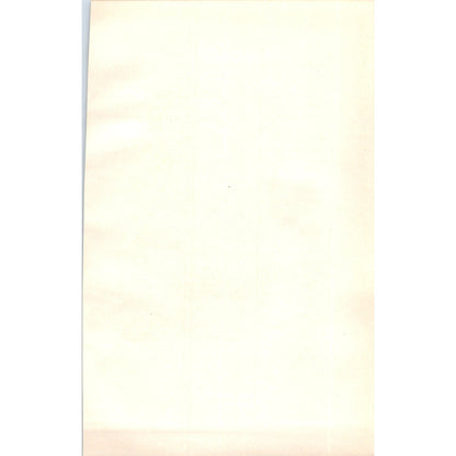 Hooded Crow Bird 1903 Original Color Engraving Plate Print AD8-B5