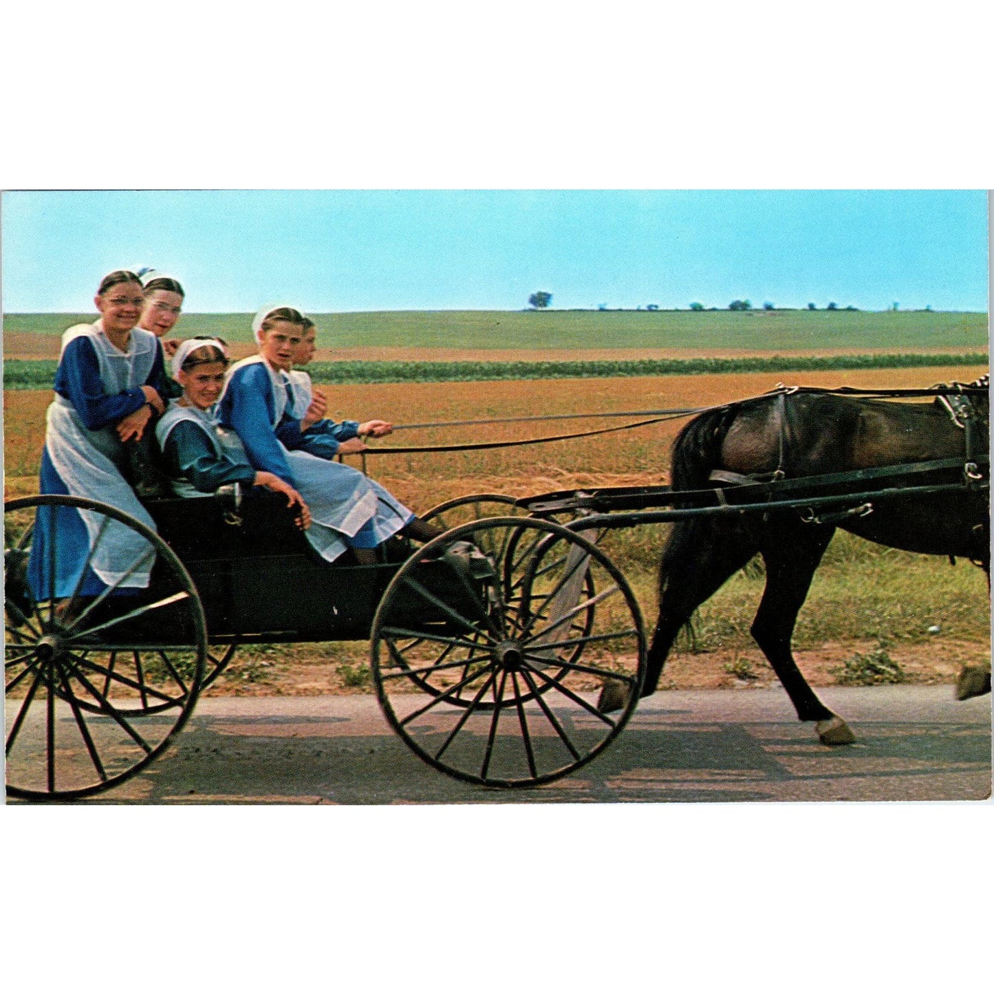 Amish Girls Riding Horse and Buggy After Church Pennsylvania Amish Country TG8