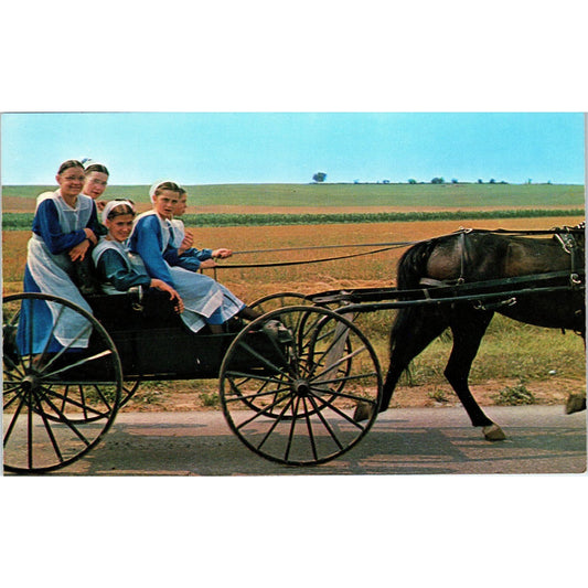 Amish Girls Riding Horse and Buggy After Church Pennsylvania Amish Country TG8