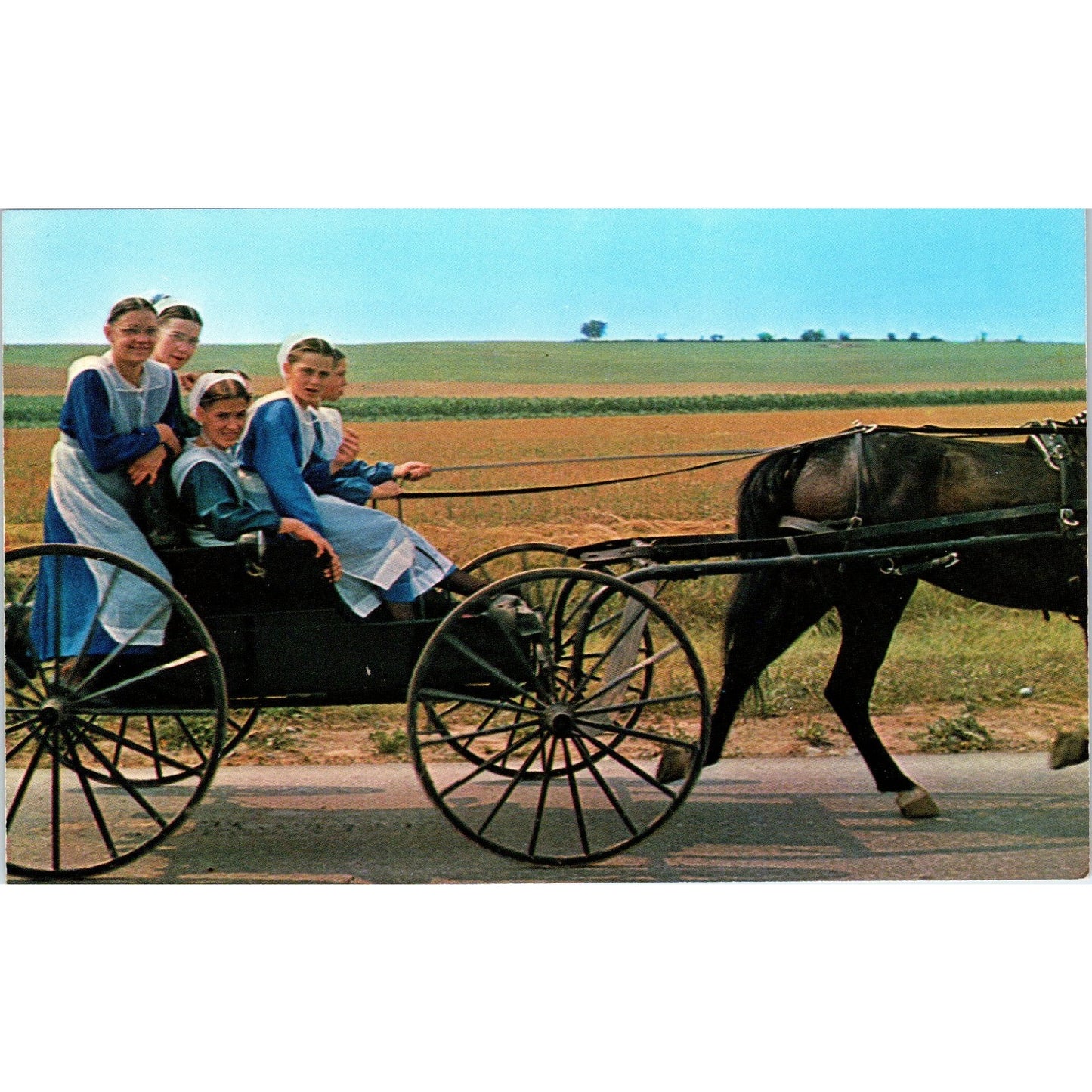 Amish Girls Riding Horse and Buggy After Church Pennsylvania Amish Country P9-16
