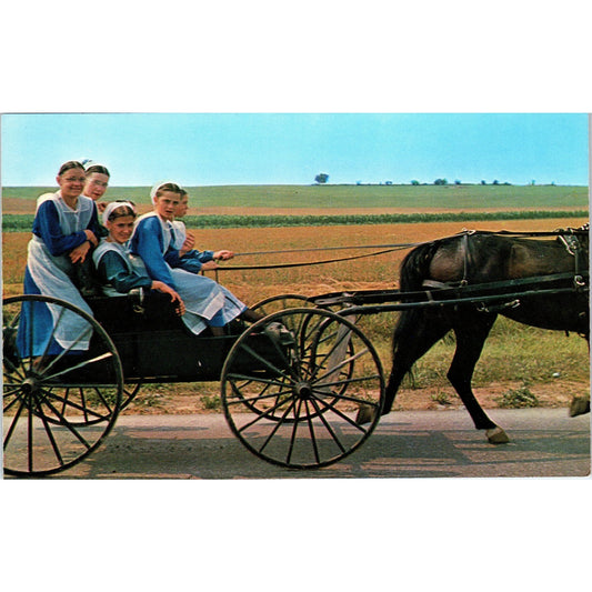 Amish Girls Riding Horse and Buggy After Church Pennsylvania Amish Country P9-16