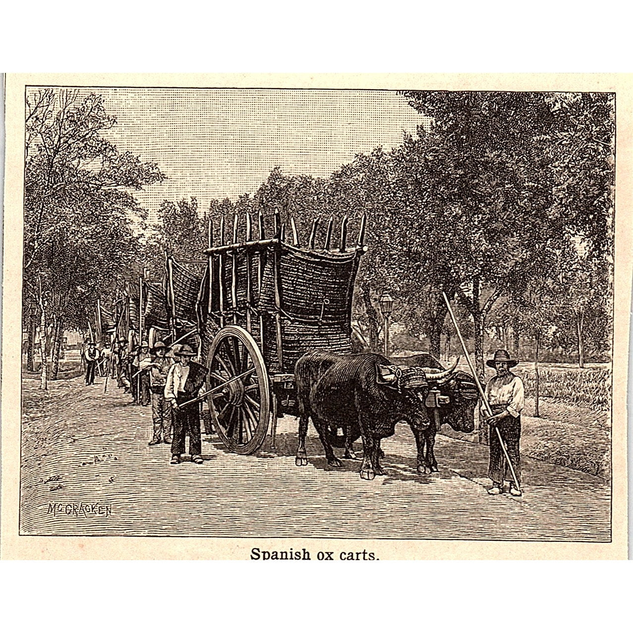 Spanish Ox Carts 3x4" 1901 Engraving AF6-M14