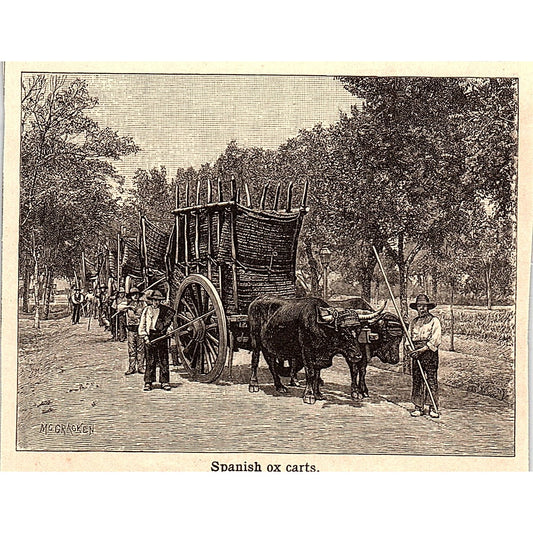 Spanish Ox Carts 3x4" 1901 Engraving AF6-M14