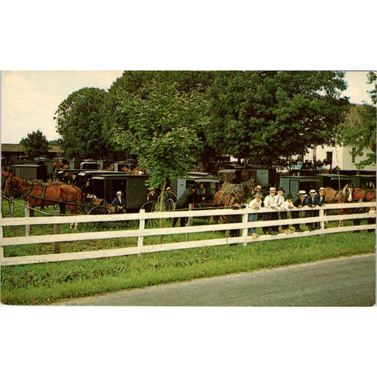Old Order of Mennonites Church Yard PA Dutch Country Vintage Postcard PD4