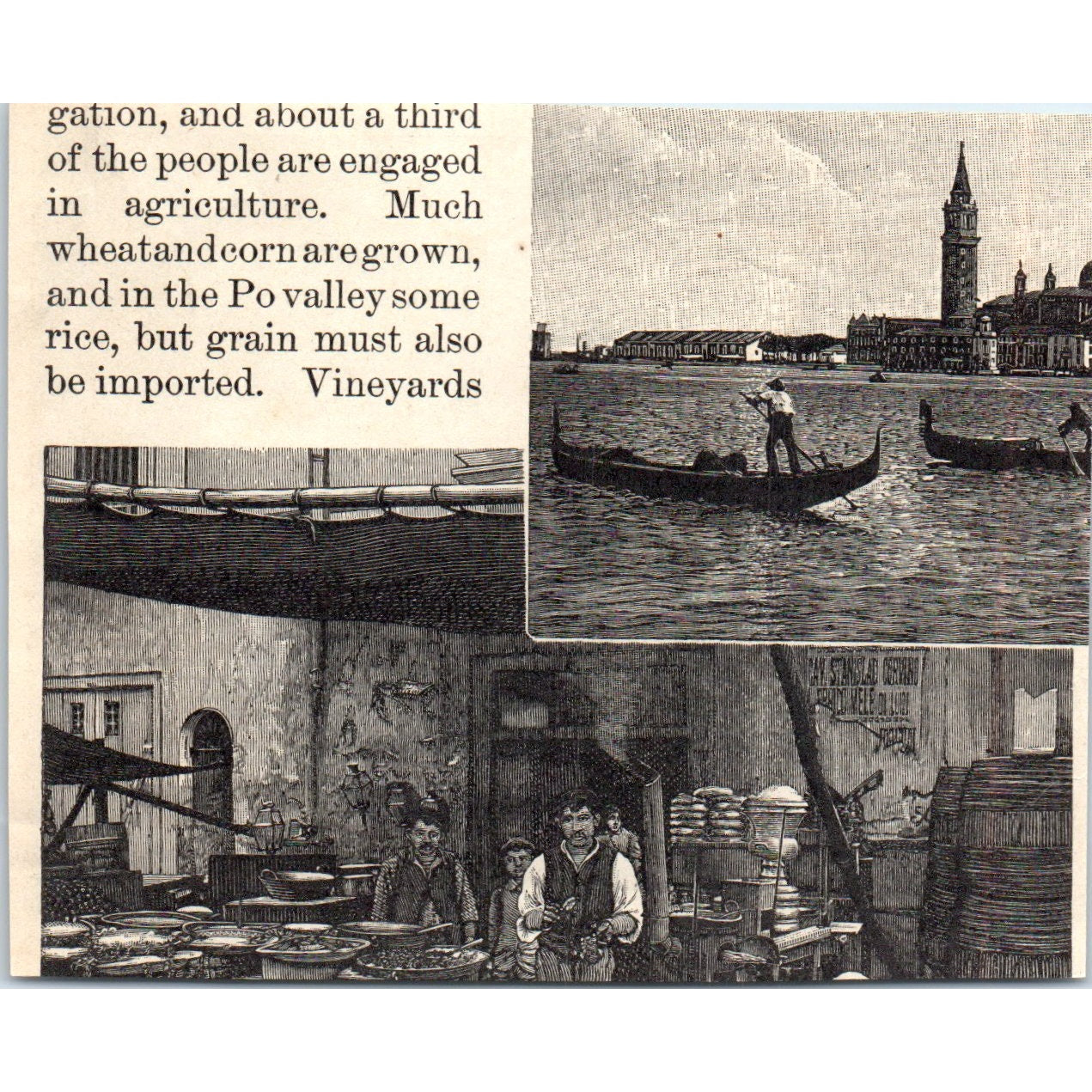 Spanish Ox Carts 1901 Engraving AF2-A6