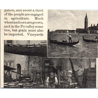 Spanish Ox Carts 1901 Engraving AF2-A6