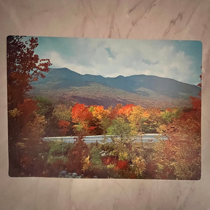 The Kancamagus Highway, White Mountains National Forest 12x16" Art Print FL1