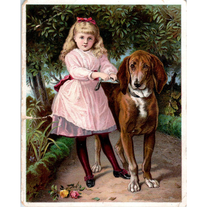 Girl With Bloodhound GA Eichman Richford WI c1880 Victorian Trade Card AE2